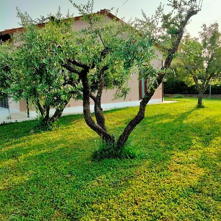 Il Melograno Apartment Lucca Luaran gambar